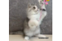 オンライン見学